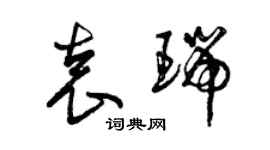 曾慶福袁瑞草書個性簽名怎么寫