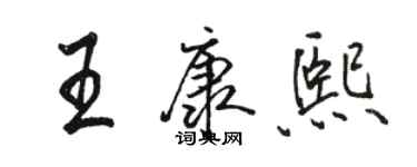 駱恆光王康熙行書個性簽名怎么寫