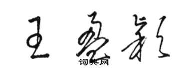 駱恆光王盈穎草書個性簽名怎么寫