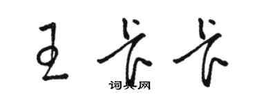 駱恆光王卡卡草書個性簽名怎么寫