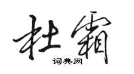 駱恆光杜霜行書個性簽名怎么寫