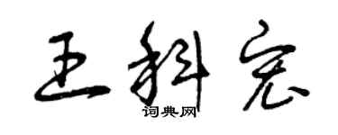 曾慶福王科宏草書個性簽名怎么寫