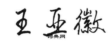 駱恆光王亞徽行書個性簽名怎么寫