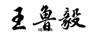 胡問遂王魯毅行書個性簽名怎么寫