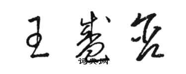 駱恆光王盛含草書個性簽名怎么寫