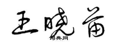 曾慶福王曉苗草書個性簽名怎么寫