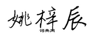 王正良姚梓辰行書個性簽名怎么寫