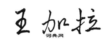 駱恆光王加拉行書個性簽名怎么寫