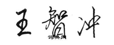 駱恆光王智沖行書個性簽名怎么寫