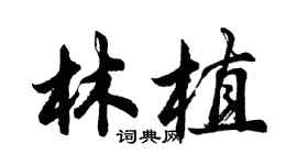 胡問遂林植行書個性簽名怎么寫