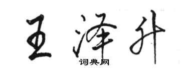 駱恆光王澤升行書個性簽名怎么寫