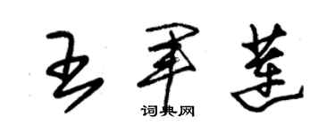 朱錫榮王軍蓮草書個性簽名怎么寫