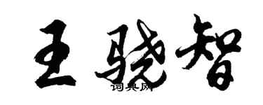 胡問遂王驍智行書個性簽名怎么寫