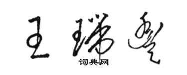 駱恆光王瑞豐草書個性簽名怎么寫