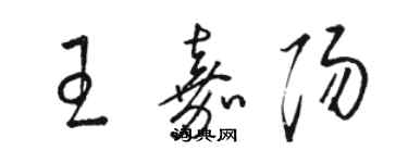 駱恆光王嘉陽草書個性簽名怎么寫