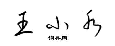 梁錦英王小水草書個性簽名怎么寫