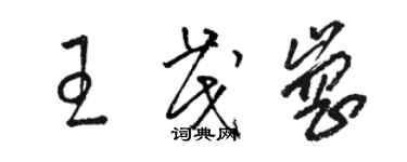 駱恆光王茂崗草書個性簽名怎么寫