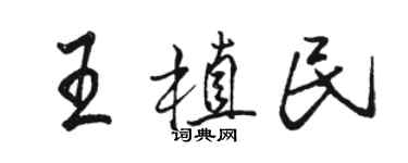 駱恆光王植民行書個性簽名怎么寫