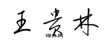 梁錦英王貴林草書個性簽名怎么寫