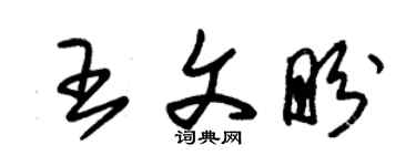 朱錫榮王文盼草書個性簽名怎么寫
