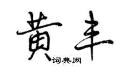 曾慶福黃豐行書個性簽名怎么寫