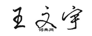 駱恆光王文宇行書個性簽名怎么寫