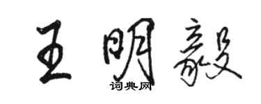 駱恆光王明毅行書個性簽名怎么寫