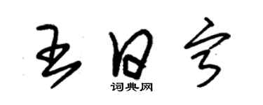 朱錫榮王日寧草書個性簽名怎么寫