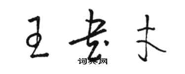 駱恆光王書才草書個性簽名怎么寫