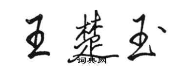 駱恆光王楚玉行書個性簽名怎么寫