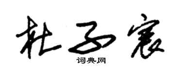 朱錫榮杜子宸草書個性簽名怎么寫