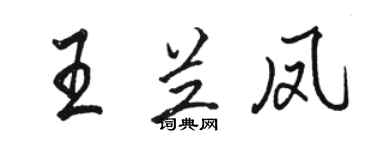 駱恆光王蘭鳳行書個性簽名怎么寫