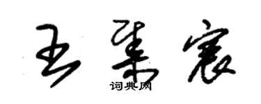 朱錫榮王集宸草書個性簽名怎么寫