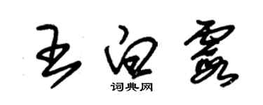 朱錫榮王白霞草書個性簽名怎么寫