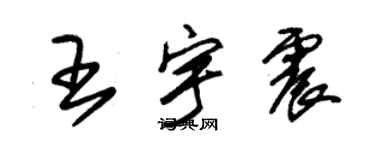 朱錫榮王宇震草書個性簽名怎么寫