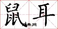 丁謙鼠耳楷書怎么寫