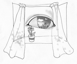 眼睛的“等式”_眼睛的“等式”作文