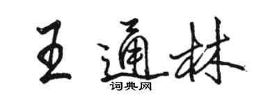 駱恆光王通林行書個性簽名怎么寫