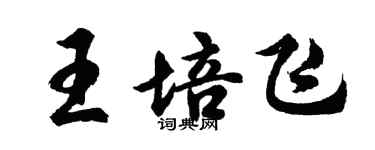 胡問遂王培飛行書個性簽名怎么寫