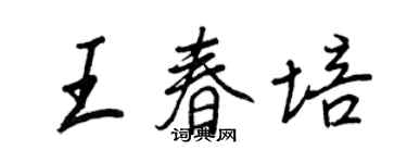 王正良王春培行書個性簽名怎么寫