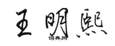 駱恆光王明熙行書個性簽名怎么寫