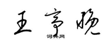 梁錦英王亭晚草書個性簽名怎么寫