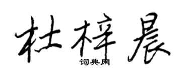 王正良杜梓晨行書個性簽名怎么寫