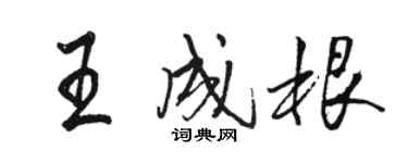 駱恆光王成根行書個性簽名怎么寫