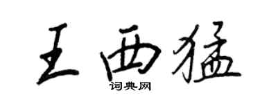王正良王西猛行書個性簽名怎么寫