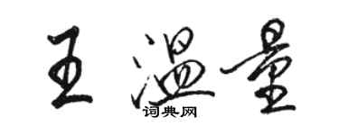 駱恆光王溫量行書個性簽名怎么寫