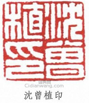 “沈曾植印”篆刻印章
