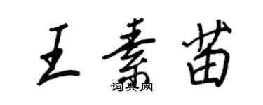 王正良王素苗行書個性簽名怎么寫