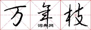 萬年枝怎么寫好看