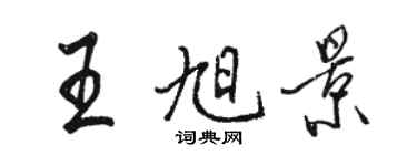 駱恆光王旭景行書個性簽名怎么寫